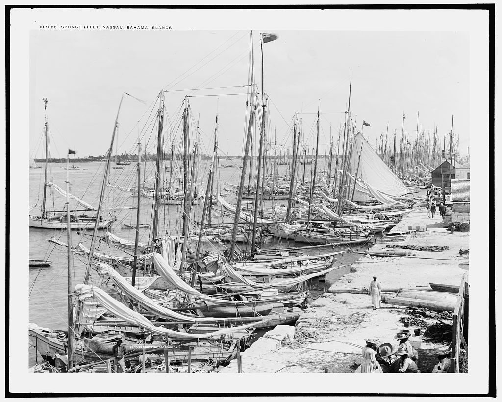 Sponge fleet sloops rafted along the Nassau waterfront, Bahamas, about 1900